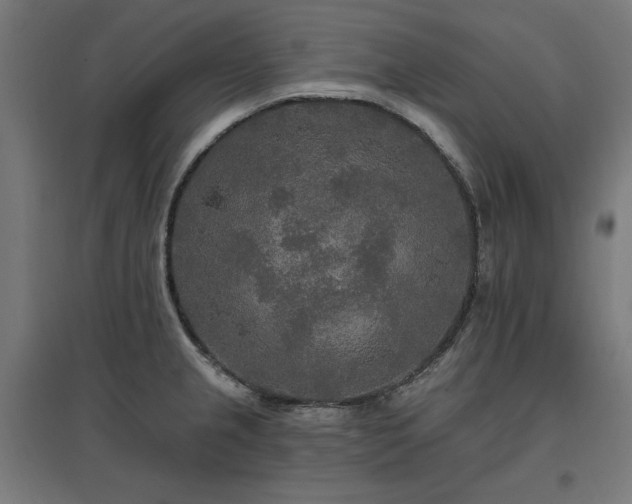 X0000096971237200802151301