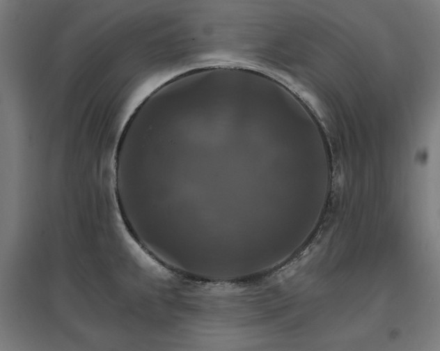 X0000096971239200802151301