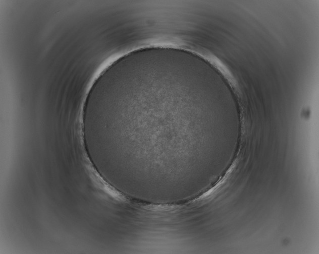 X0000096971240200802151301