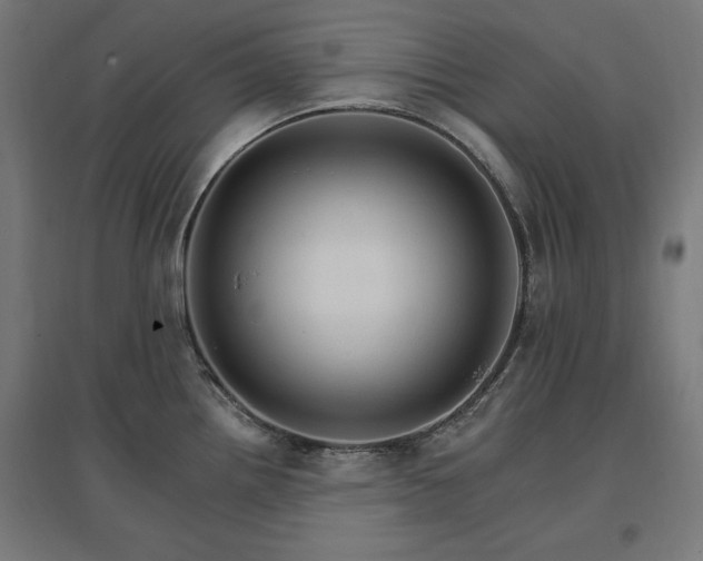 X0000096971242200802151301