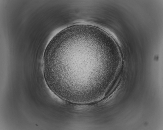 X0000096971247200802151301