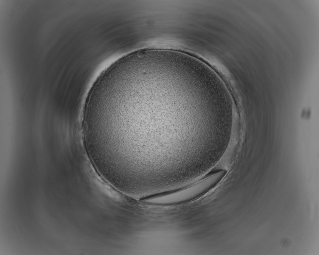 X0000096971248200802151301