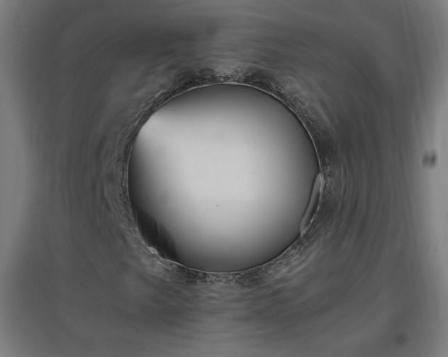 X0000096971249200802151300
