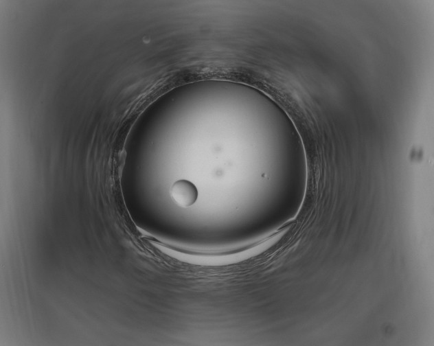 X0000096971250200802151300
