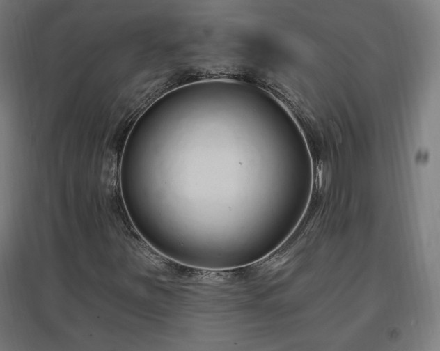 X0000096971251200802151300