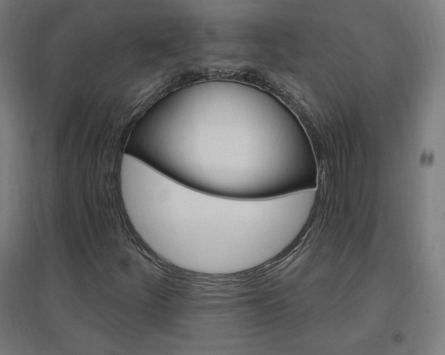 X0000096971252200802151300