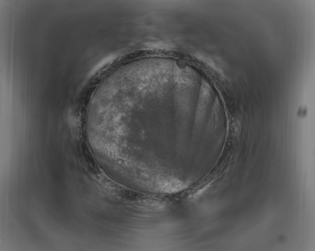 X0000096971254200802151300