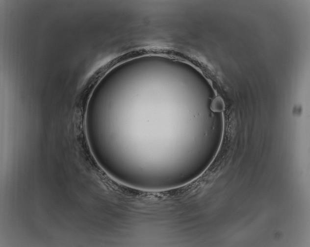 X0000096971255200802151300