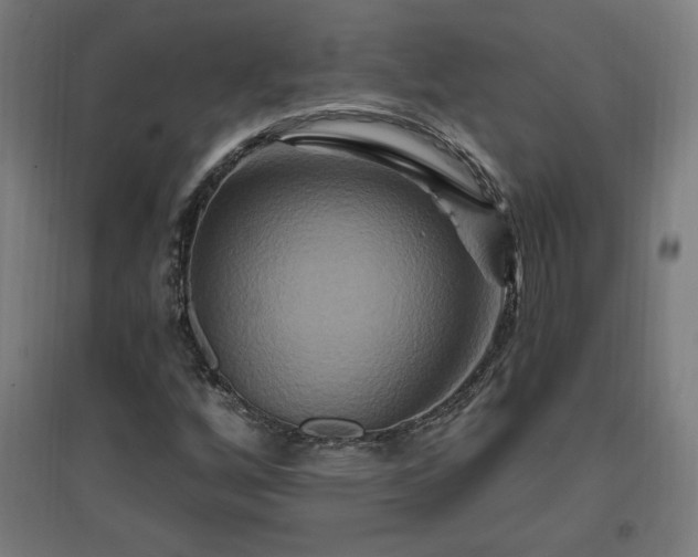 X0000096971256200802151300