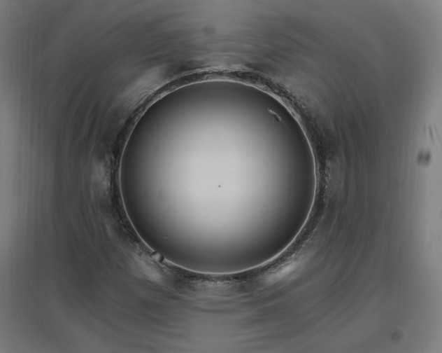 X0000096971257200802151300