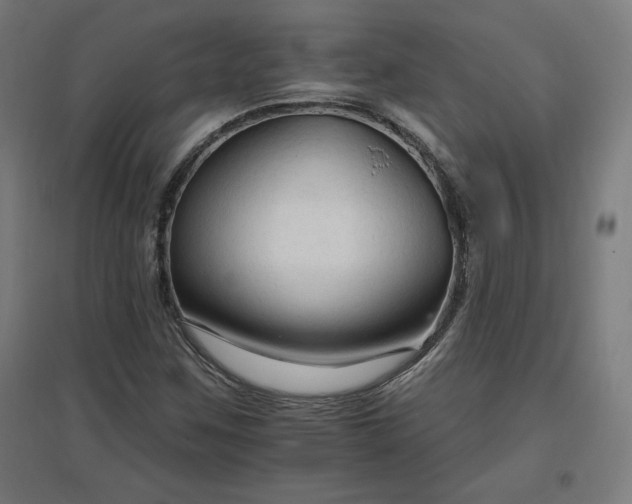 X0000096971259200802151300