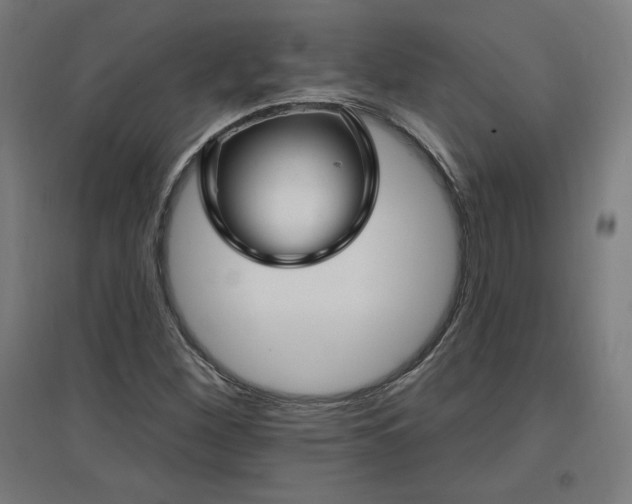 X0000096971260200802151300