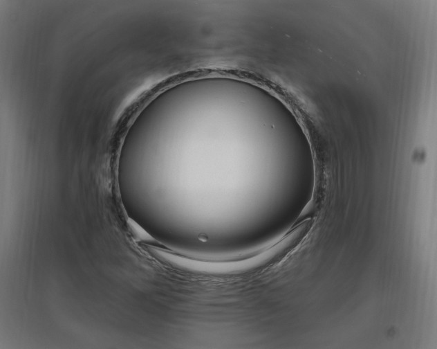 X0000096971262200802151300