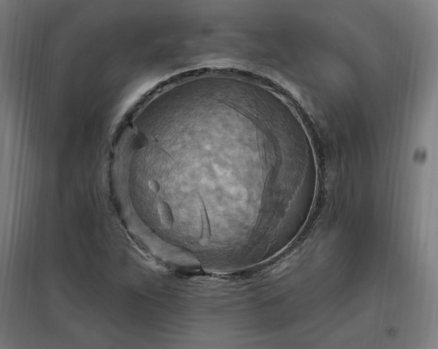 X0000096971263200802151300