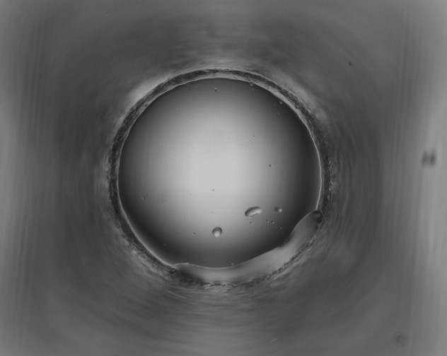 X0000096971264200802151300