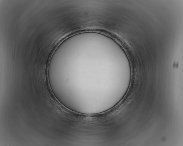 X0000096971265200802151300