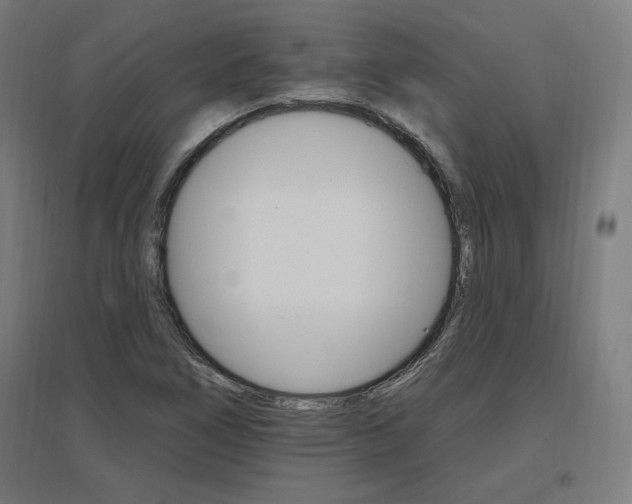 X0000096971266200802151300