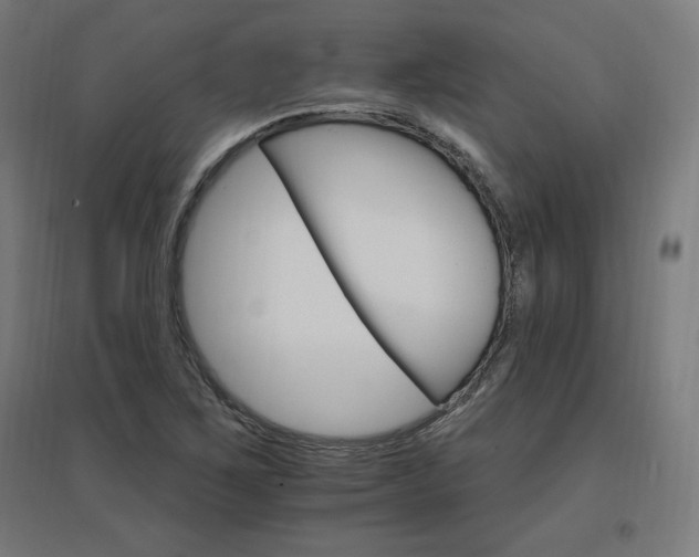 X0000096971267200802151300