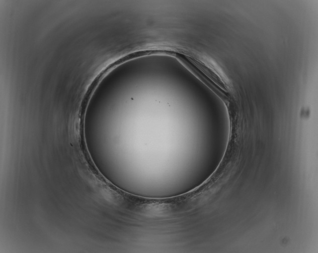 X0000096971268200802151300