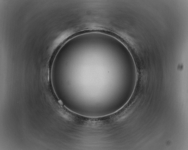 X0000096971269200802151300