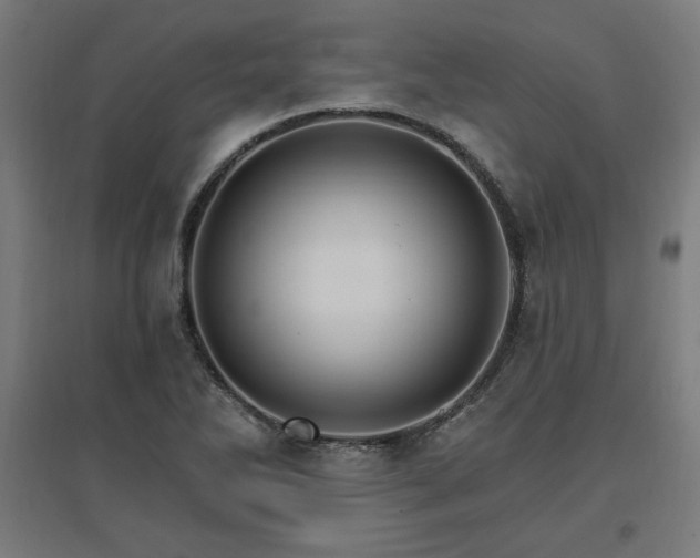 X0000096971270200802151300