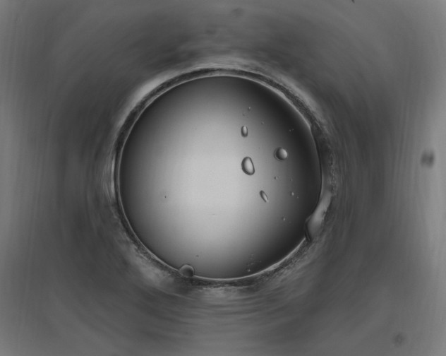 X0000096971272200802151300
