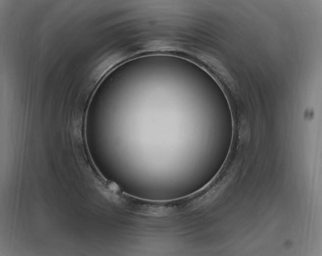 X0000096971273200802151300