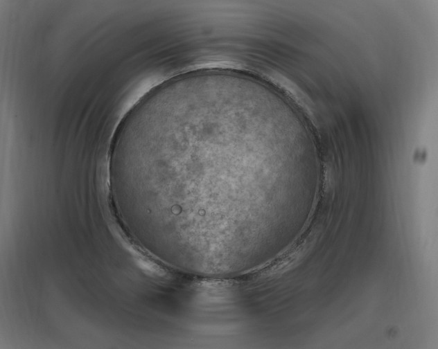 X0000096971274200802151300