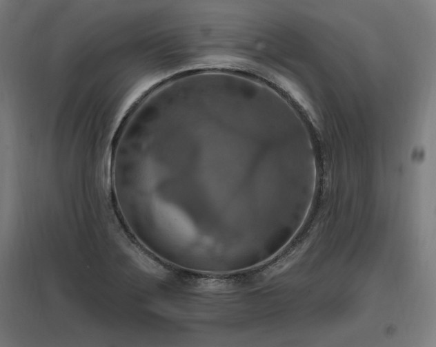 X0000096971275200802151300