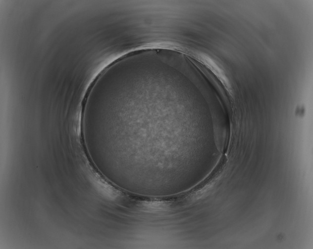 X0000096971276200802151300