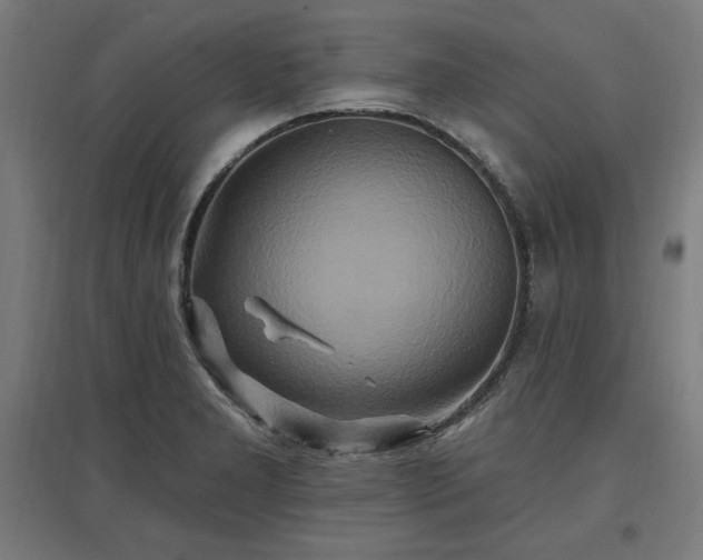 X0000096971277200802151300