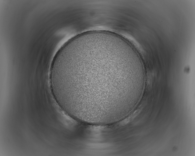 X0000096971278200802151300