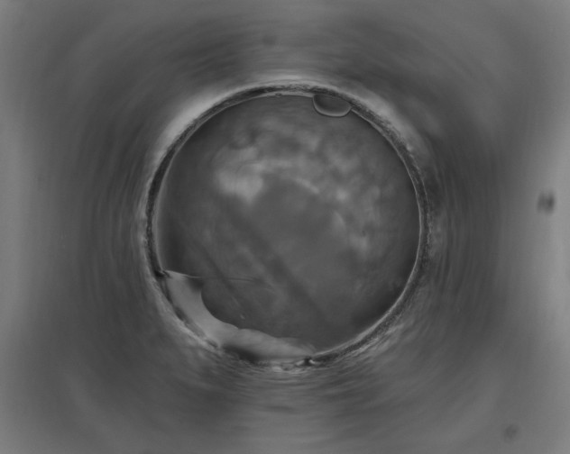 X0000096971279200802151300