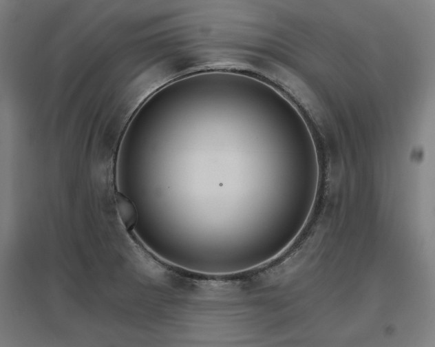 X0000096971281200802151300