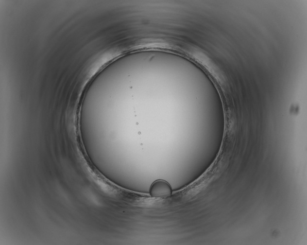 X0000096971282200802151300