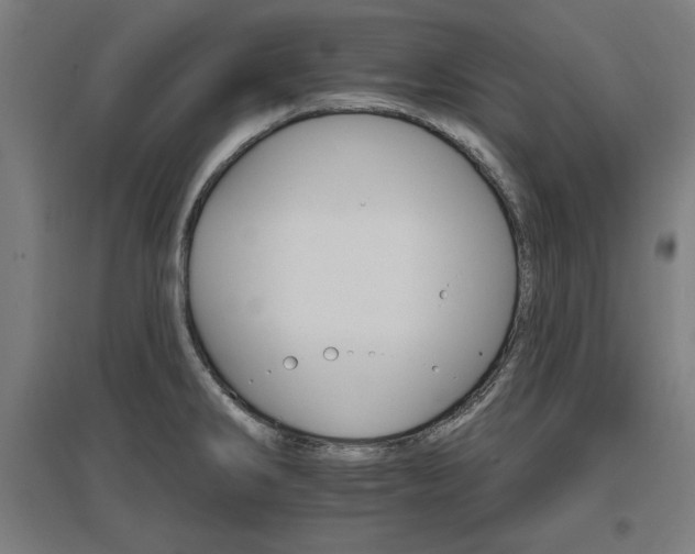 X0000096971286200802151300