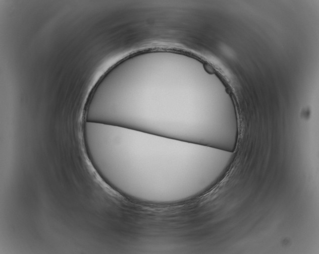 X0000096971287200802151300