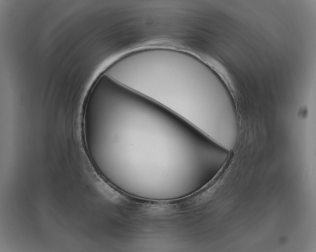 X0000096971288200802151300