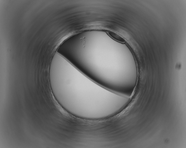 X0000096971289200802151300