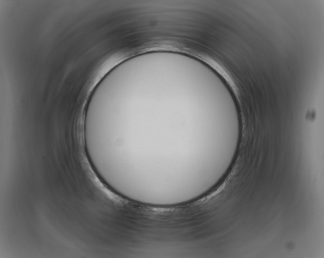 X0000096971290200802151300