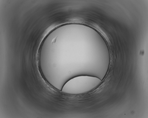 X0000096971291200802151300
