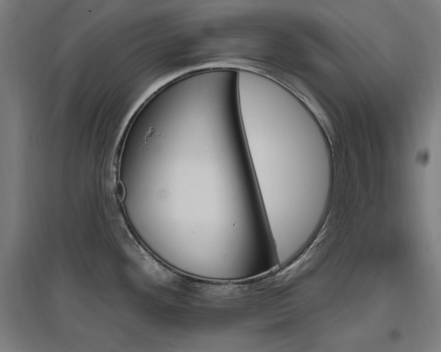 X0000096971292200802151300