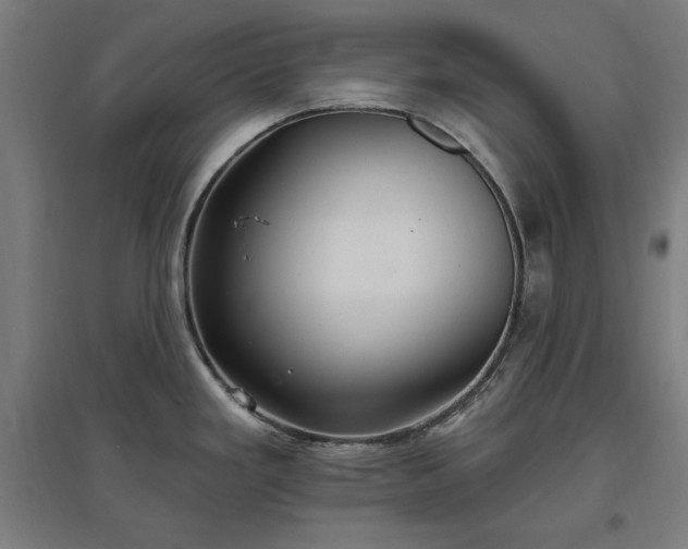 X0000096971293200802151300