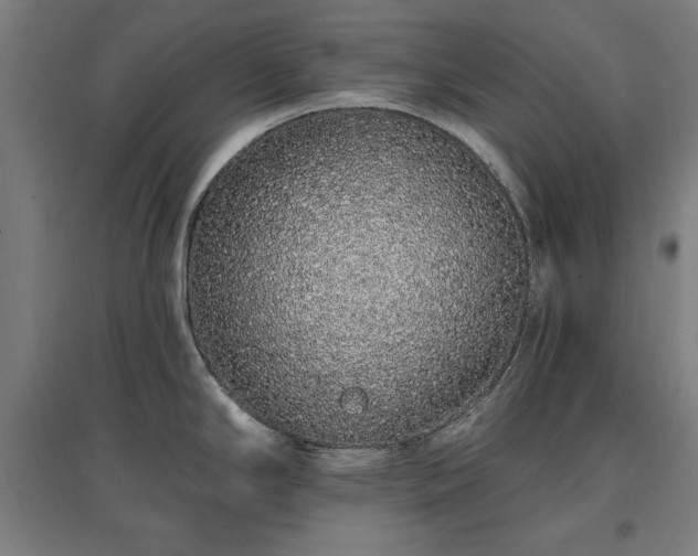 X0000096971294200802151300