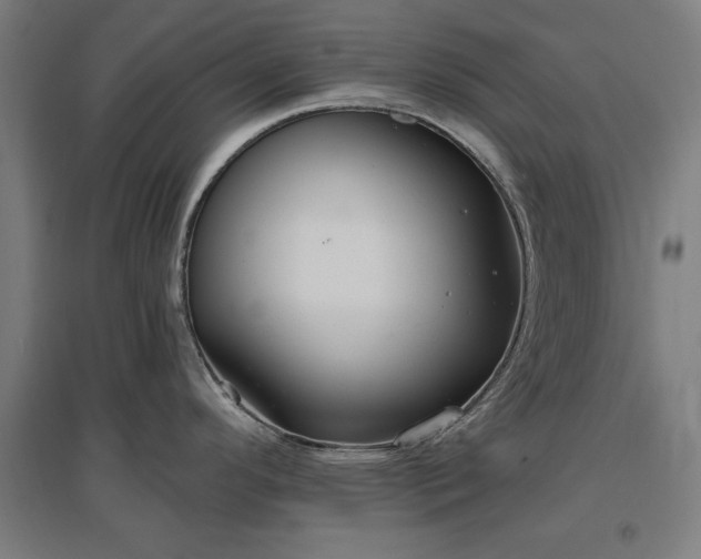 X0000096971296200802151300