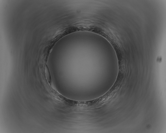 X0000096971297200802151259