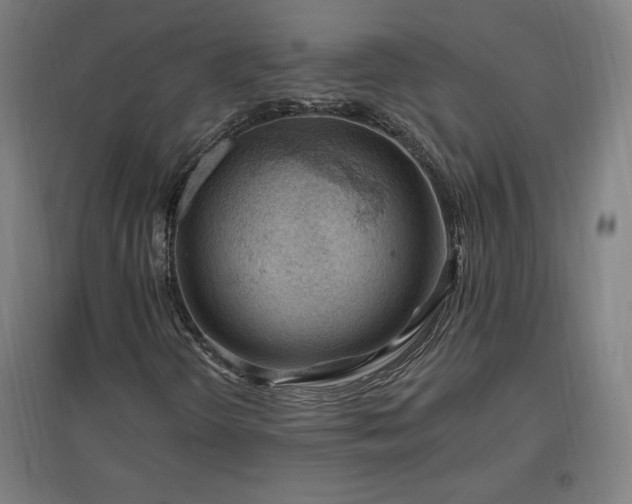 X0000096971298200802151259
