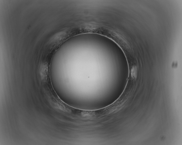 X0000096971299200802151259