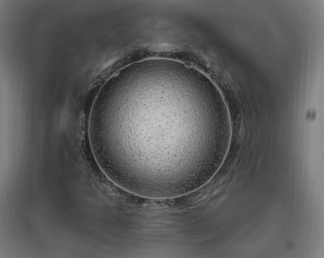 X0000096971301200802151259