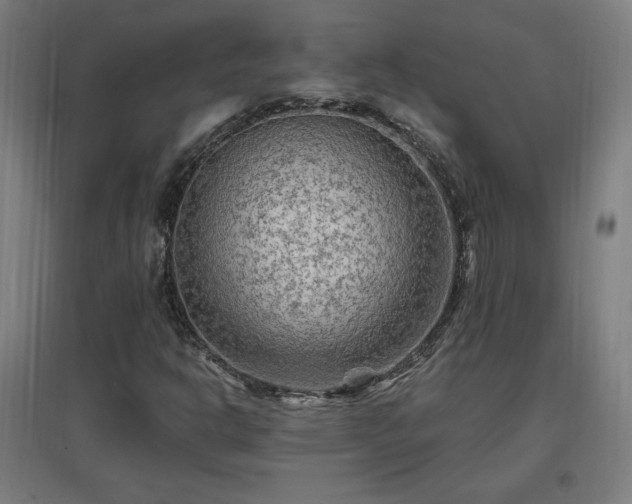 X0000096971302200802151259